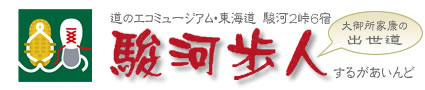 道のエコミュージアム・東海道駿河2峠6宿　駿河歩人(するがあいんど)